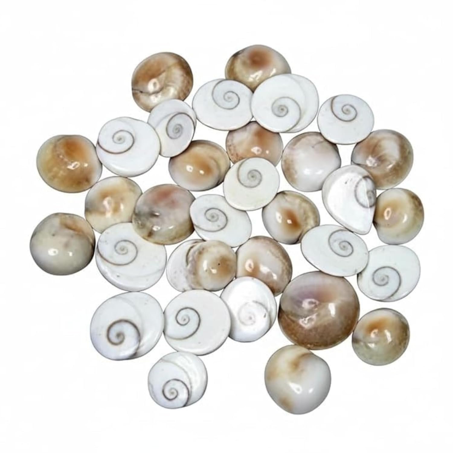 Emagnet Certified Gomati Chakra – Original River Stones from Gomathi River, Dwarka | Natural Gomti Chakra for Lakshmi Puja, Kuber Pooja, Vastu & Protection | Set of 11 Pieces