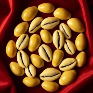 Pili Kodi Shells for Puja – Pack of 21 | Original Yellow Cowrie Shells for Diwali Laxmi Pujan, Kuber Puja & Home Décor | Kaudi Shells for Rangoli, Craft, Jewellery & DIY Decoration (21 Pcs)