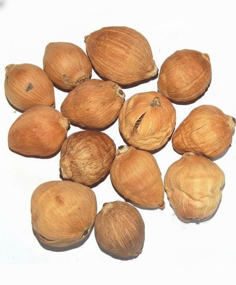 Laghu Nariyal for Pooja – 11 Pcs | Original Laghu Shriphal Small Coconut | Natural Dry Nariyal for Mahalaxmi Pooja, Temple, Havan, Kuber Puja & Daily Spiritual Rituals