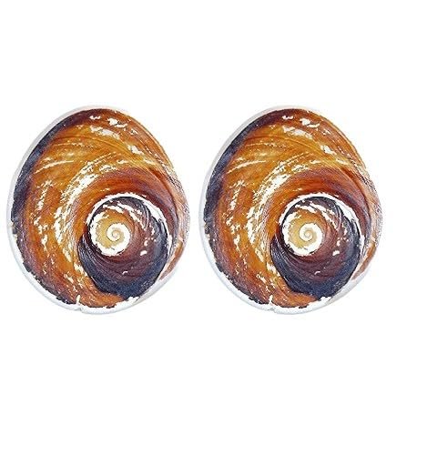 Certified Raja Gomati Chakra Original | Natural Gomti Chakra Stone from Gomathi River, Dwarka (4–5 CM) | Spiritual Vastu Item for Lakshmi Puja, Kuber Pooja & Home Protection | pack of 2