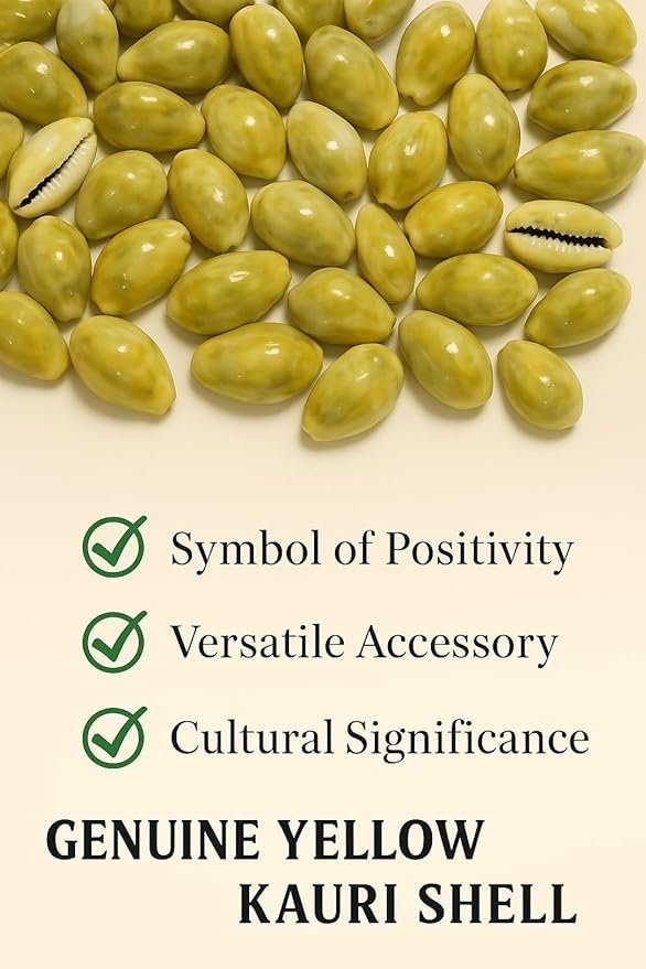 Pili Kodi Shells for Puja – Pack of 11 | Original Yellow Cowrie Shells for Diwali Laxmi Pujan, Kuber Puja & Home Decoration | Kaudi Shells for Crafts, Jewelry, Rangoli & Vastu Decor (11 Pcs)