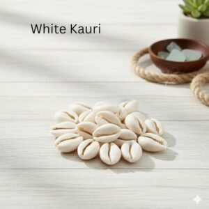 White Kauri/Safed Kaudi for Puja (Set of 21 Pcs) | Traditional Puja Samagri for Lakshmi Puja, Kuber Puja, Diwali, Durga Puja & Vastu Rituals