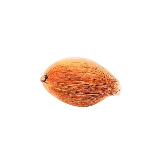 Laghu Nariyal for Pooja – 11 Pcs | Original Laghu Shriphal Small Coconut | Natural Dry Nariyal for Mahalaxmi Pooja, Temple, Havan, Kuber Puja & Daily Spiritual Rituals