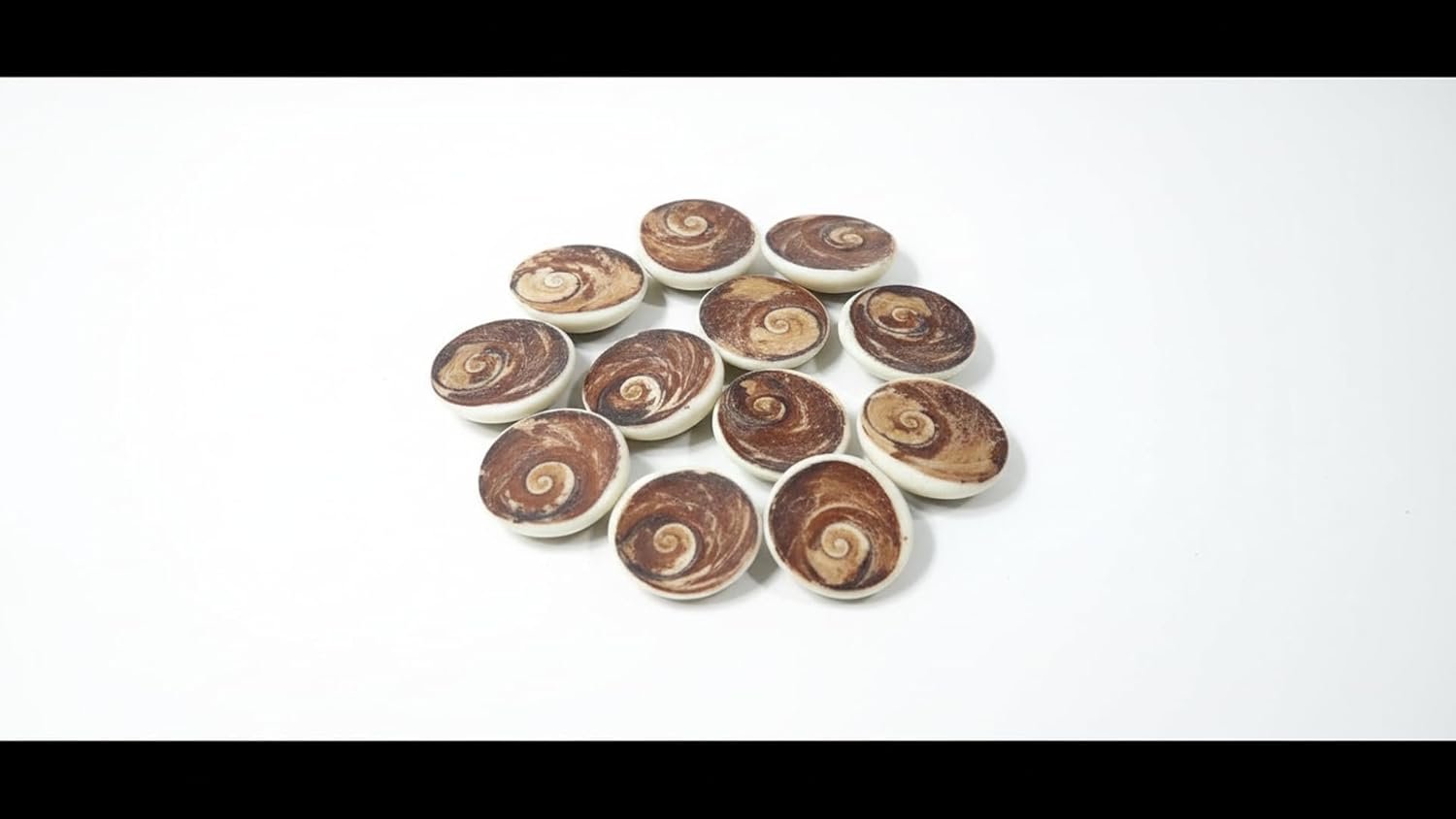 Certified Raja Gomati Chakra Original | Natural Gomti Chakra Stone from Gomathi River, Dwarka (4–5 CM) | Spiritual Vastu Item for Lakshmi Puja, Kuber Pooja & Home Protection | pack of 2