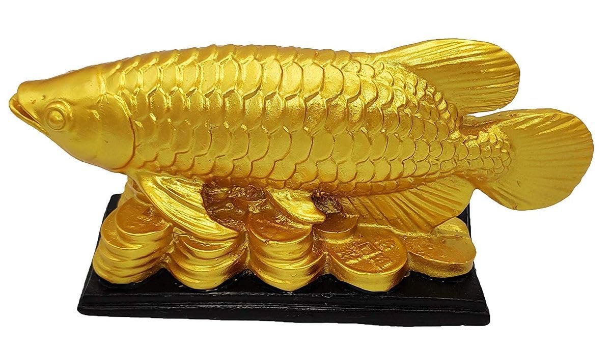 Feng Shui Golden Arowana Fish Statue with Coin in Mouth | Wealth & Prosperity Symbol | 15 CM Vastu & Feng Shui Home Office Decor Showpiece | Positive Energy & Gifting Item