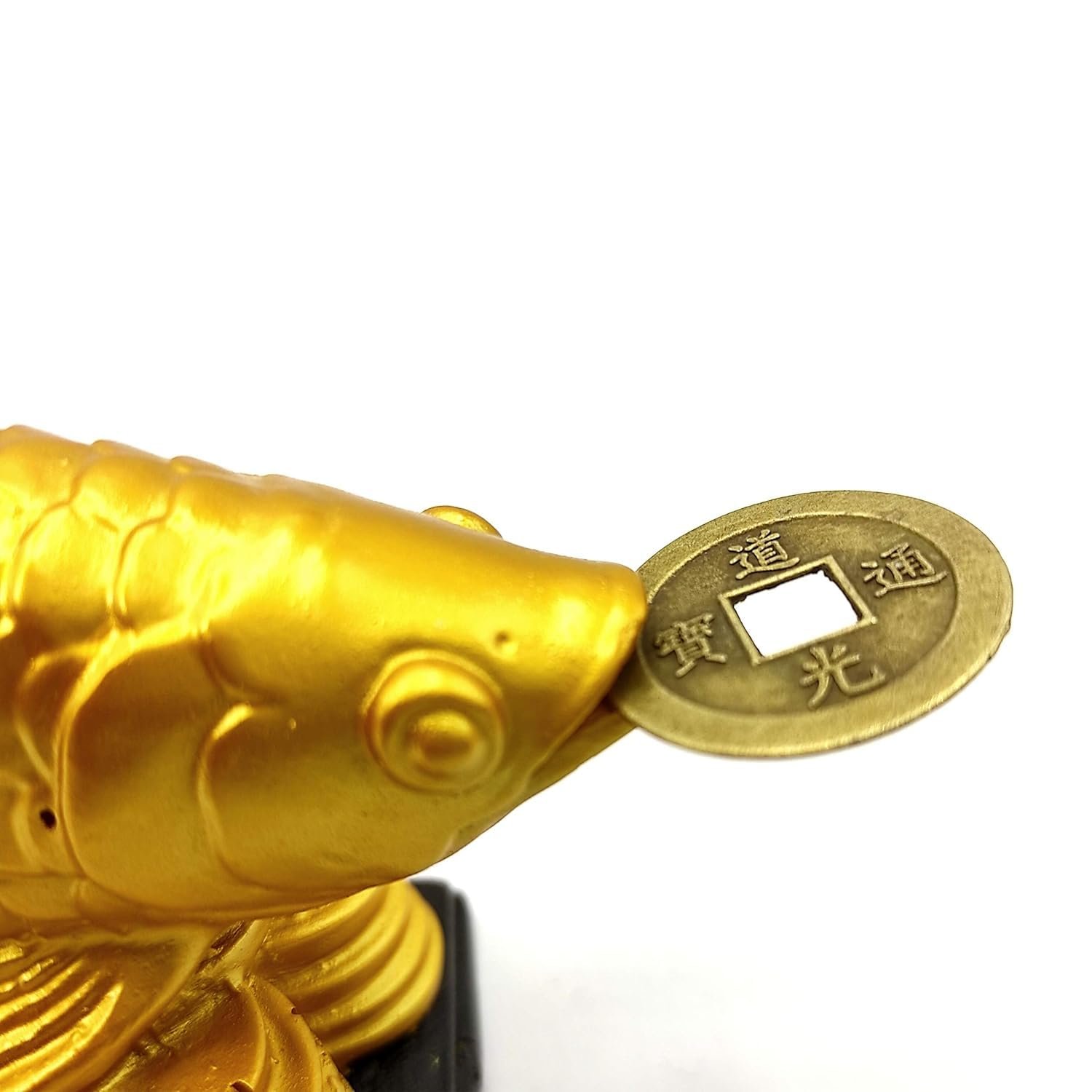 Feng Shui Golden Arowana Fish Statue with Coin in Mouth | Wealth & Prosperity Symbol | 15 CM Vastu & Feng Shui Home Office Decor Showpiece | Positive Energy & Gifting Item