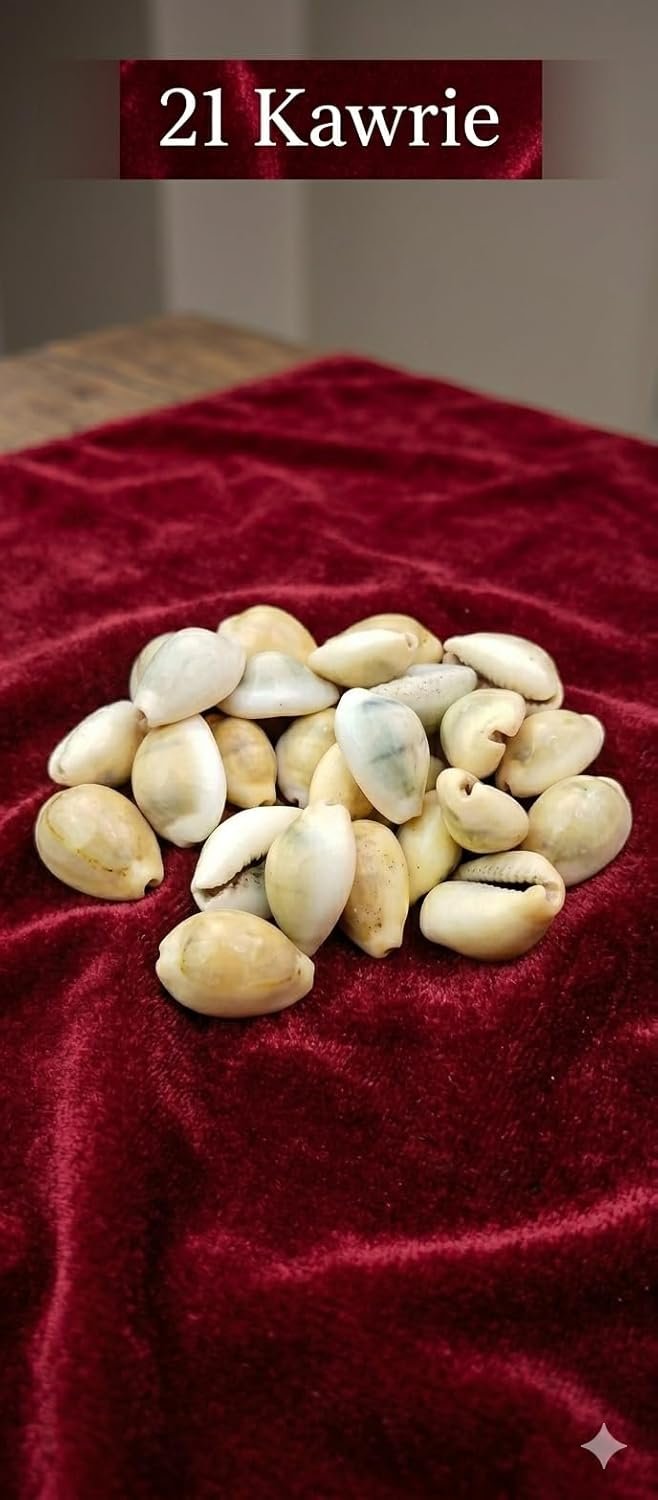 Natural Cowrie/Pooja Kauri (Kawdi/Kaudi/Kodi) Shells Pack of 21 for Laxmi Puja | Original Sacred Cowrie Shells for Wealth, Prosperity & Vastu | Pooja, Rituals, Crafts & Home Décor Use