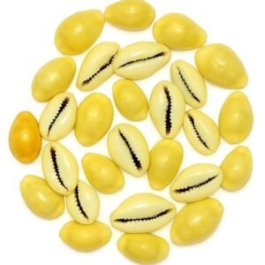 Pili Kodi Shells for Puja – Pack of 11 | Original Yellow Cowrie Shells for Diwali Laxmi Pujan, Kuber Puja & Home Decoration | Kaudi Shells for Crafts, Jewelry, Rangoli & Vastu Decor (11 Pcs)