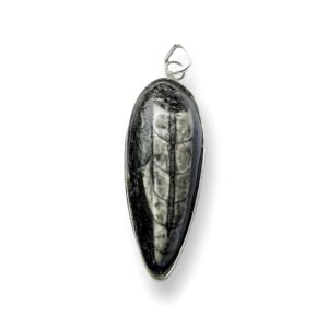 Kuber Stone Pendant for Men & Women | Natural Wealth Stone for Prosperity & Good Luck | Vastu & Reiki Healing Crystal Pendant