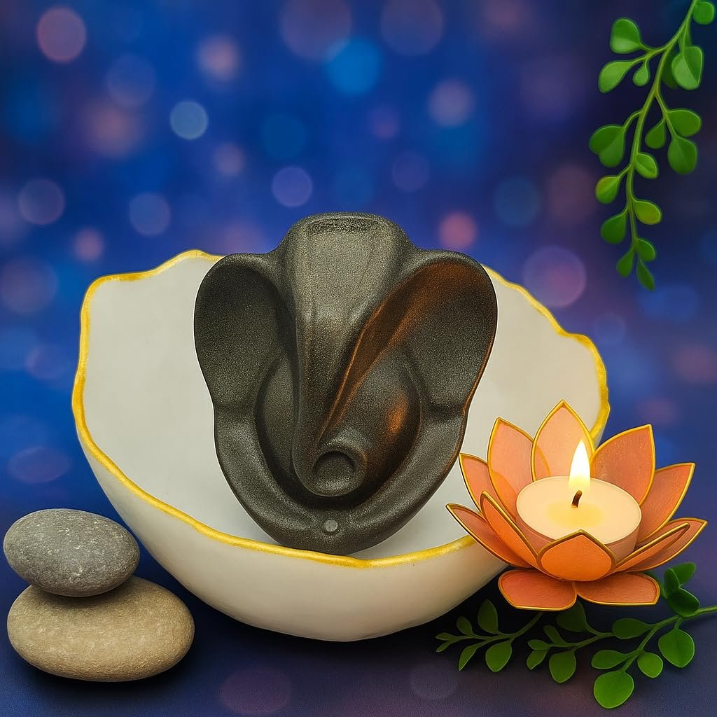 Selenite Crystal Money Bowl with Golden Rim | 13 cm Natural Selenite Vastu & Feng Shui Decor | Charging Bowl for Crystals, Wealth Attraction & Home/Office Prosperity