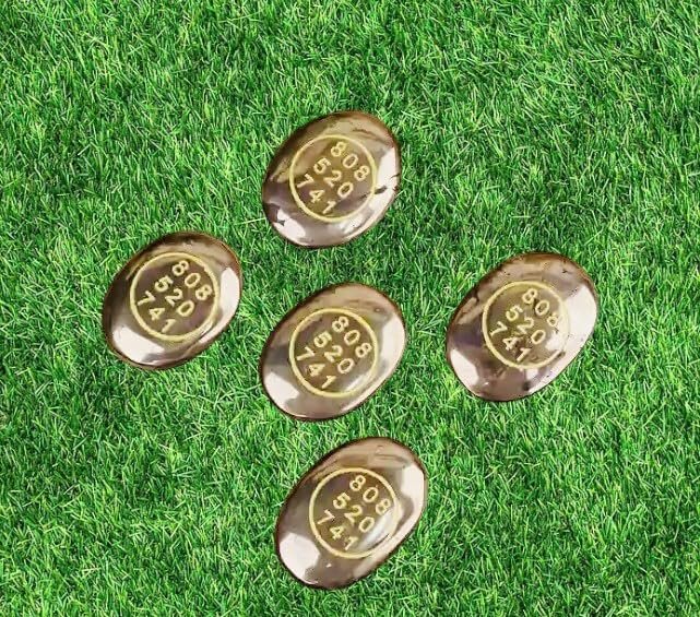 Good Luck Stone Pyrite Zibu Symbol Coin – 808 520 741 | Fortune & Wealth Magnet for Financial Growth, Reiki Healing & Vastu Decor – Home & Office Pack of 1