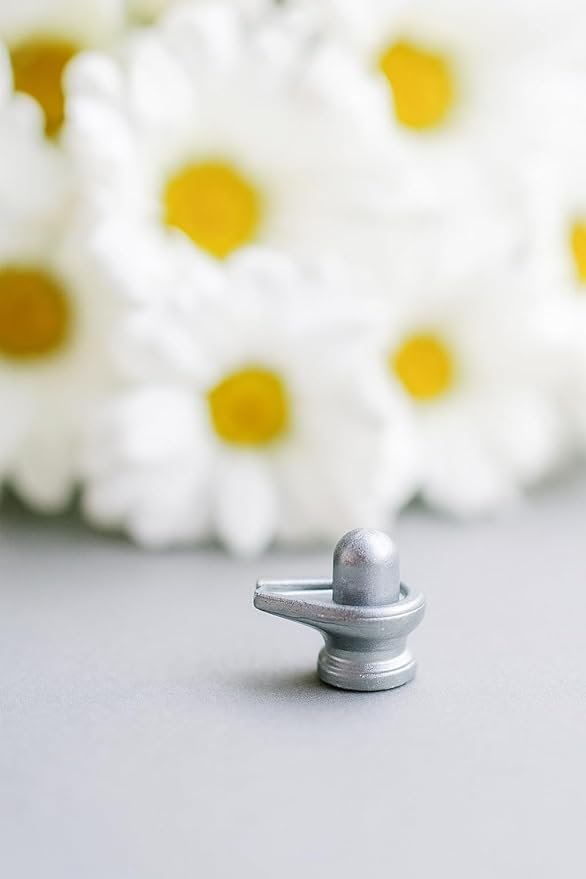Natural & Certified Parad Shivling | 20–30 g Pure Mercury (Parad) Padrasam Shivling for Puja, Vastu & Meditation | Energized Shivling for Home Temple, Office & Positive Energy